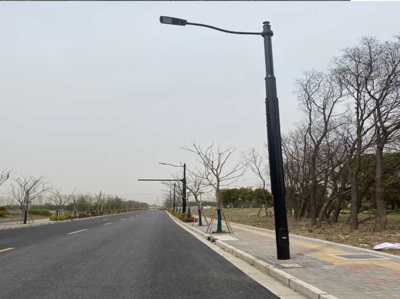 西华县上海综合杆 太阳能路灯工程